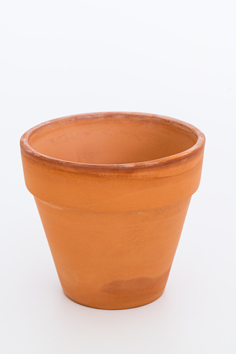 plant pot isolate on white background