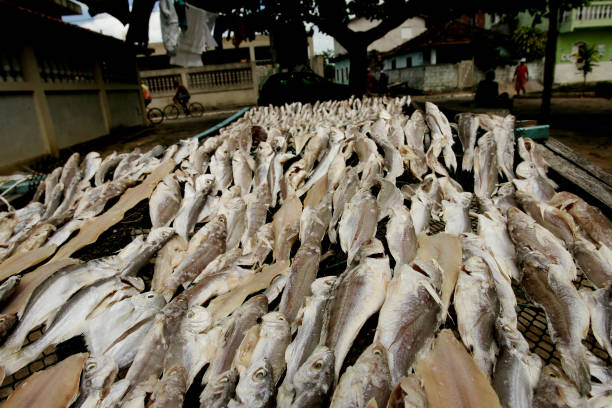 istock fish dried in the sun 1272902583