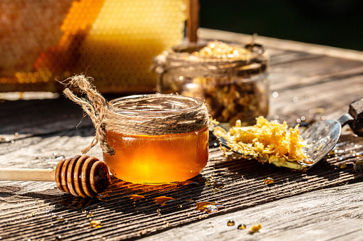 Honey bee and Honeycomb with honey dipper on wooden table. Beekeeping concept.