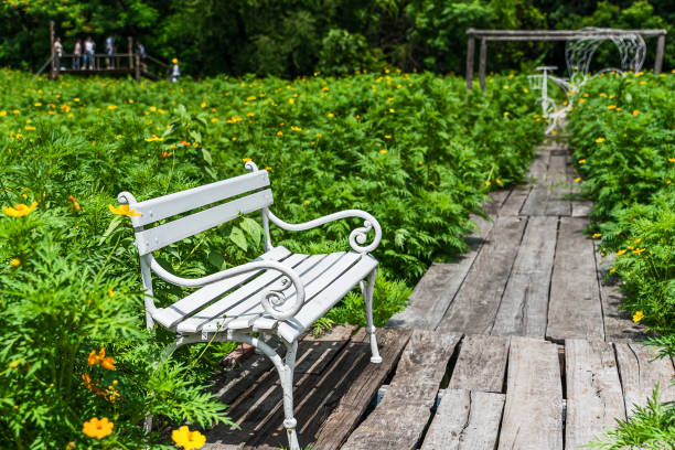 istock White chair in a yellow cosmos 1272905493