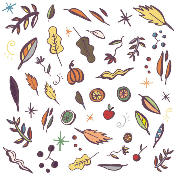 ilustraciones, imágenes clip art, dibujos animados e iconos de stock de ilustración con calabaza dibujada a mano, hojas de otoño, cítricos y cosecha de otoño. set de otoño. colección de hojas de otoño dibujadas a mano, manzanas, garódlo de bayas - decoration seamless drop occupation