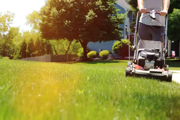 Photo of Mowing the grass with a lawn mower in sunny summer. Gardener cuts the lawn in the garden