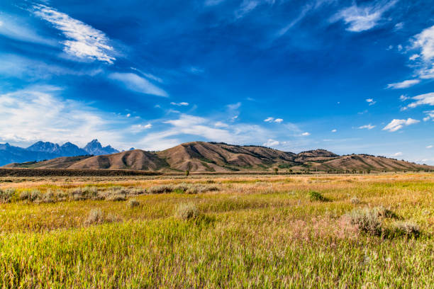 wilderness of wyoming - wyoming landscape american culture plain photos et images de collection