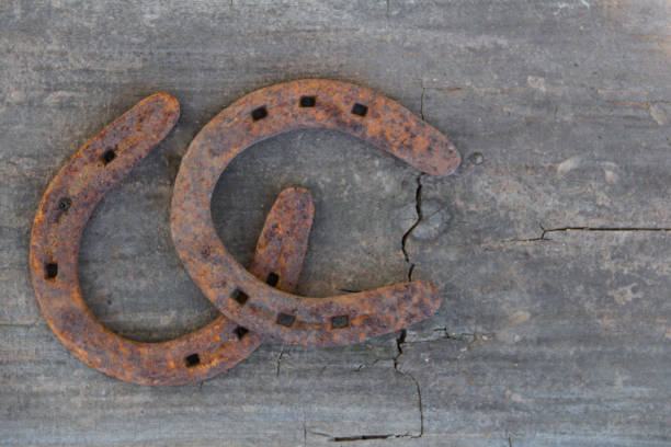 istock old rusty horseshoes on rustic wood with place for text 1272912264