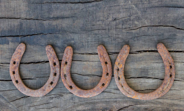 istock old rusty horseshoes on rustic wood with place for text 1272912289