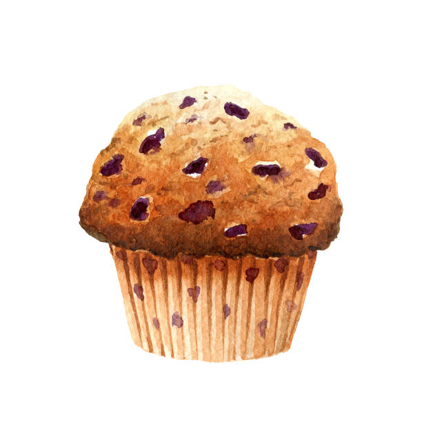 ilustraciones, imágenes clip art, dibujos animados e iconos de stock de muffin fresco y apetitoso con arándano aislado sobre fondo blanco - muffin blueberry muffin blueberry isolated