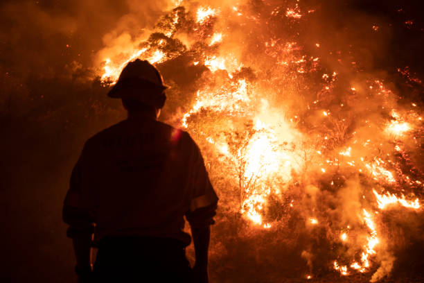 kaliforniya orman yangını - orman yangını stok fotoğraflar ve resimler