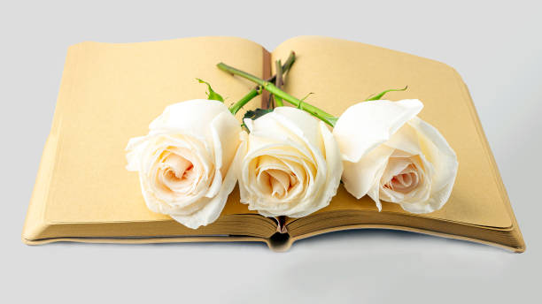 istock Blank open diary (notebook, sketchbook) decorated with white roses with space for text or lettering. Concept of writing letter, wishes, goals, plans, life story. Close up mockup spring composition 1272919106