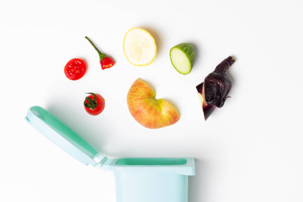 istock Organic waste and blue trash bin on white background close-up, top view 1272920894