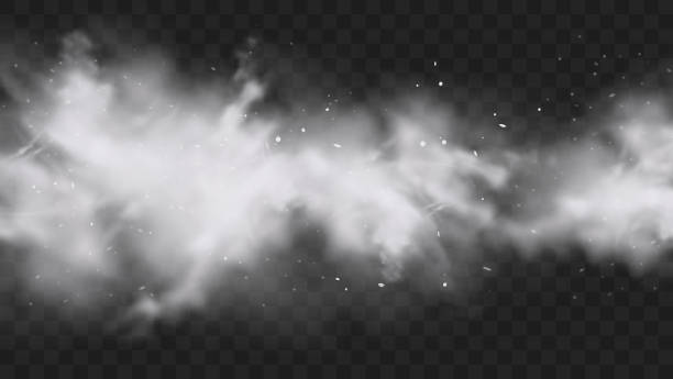 투명한 어두운 배경에서 입자와 눈송이가 고립된 하얀 눈폭발이 일어설 수 있습니다. 흰 밀가루 분말 폭발, 홀리 페인트 분말. 스모그 또는 안개 효과. 사실적인 벡터 일러스트레이션 - ice stock illustrations