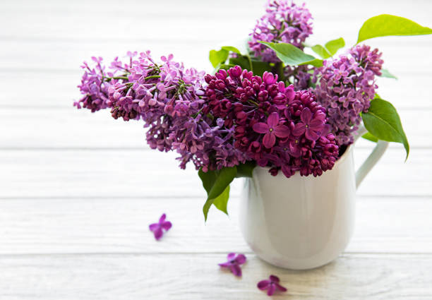 Spring bouquet. Luilac flowers in a vase on a white woodwn table