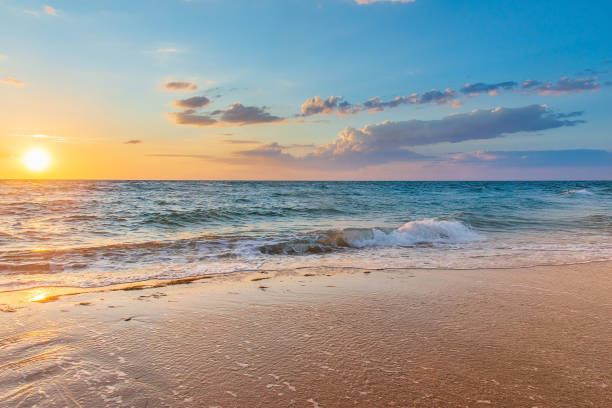 istock White foam waves on the sand at sunset in the sea 1272924862