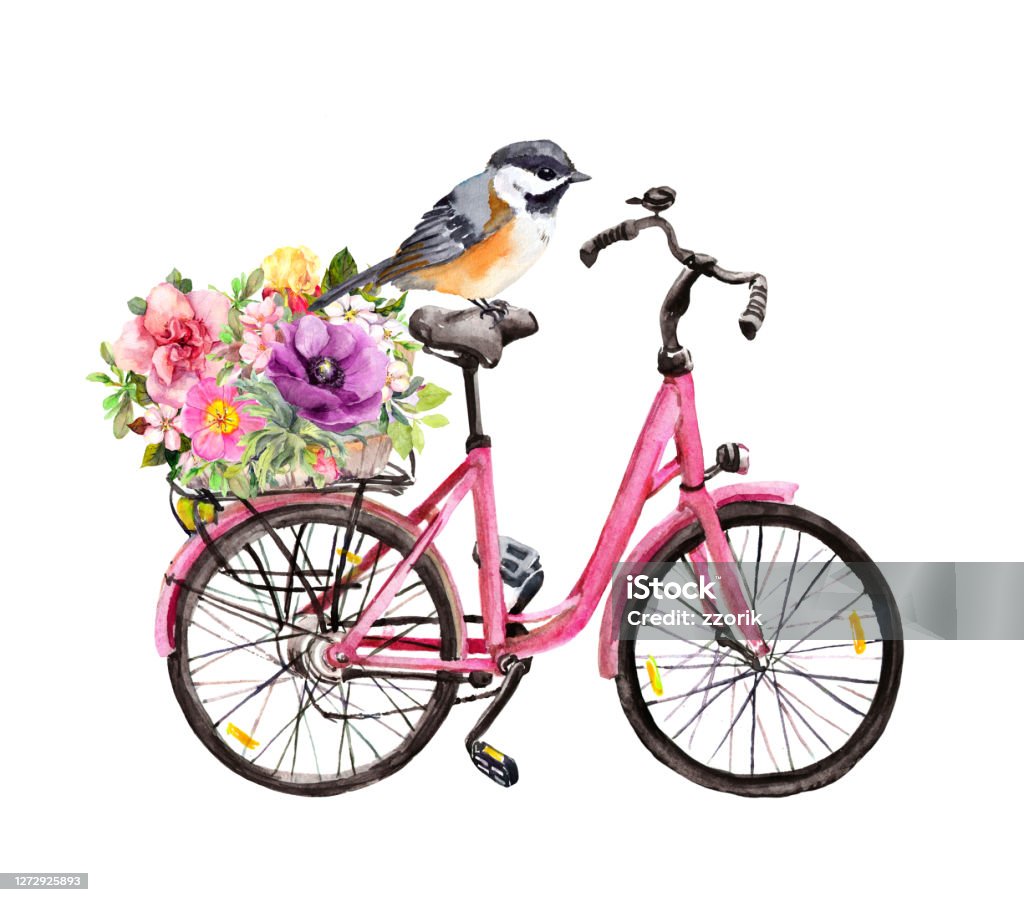 Ilustración de Pájaro Canción En Bicicleta Rosa Vintage Con Flores En Cesta  Acuarela y más Vectores Libres de Derechos de Amapola - Planta - iStock