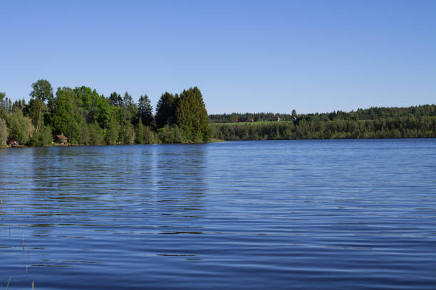istock Blue forest lake with forest banks against a blue cloudless sky. 1272926107