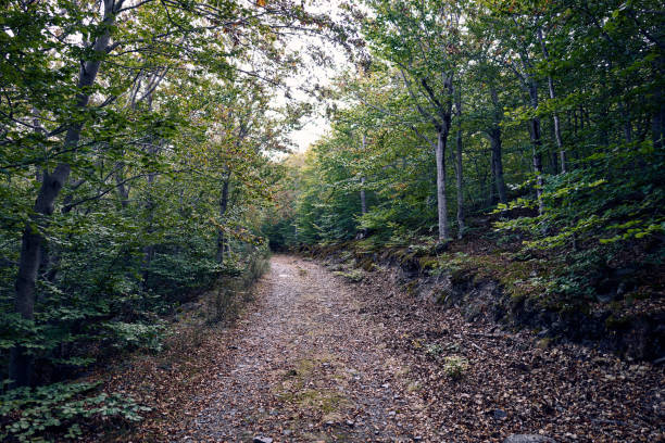 istock moncayo's naturan park 1272928033