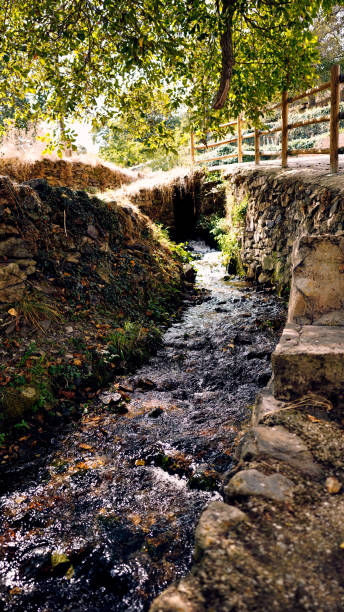 istock moncayo's naturan park 1272928058