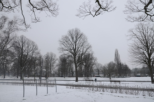 The scenery around Haarlem, Netherlands during snow