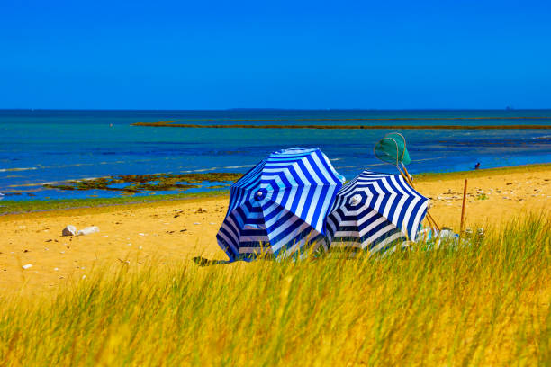 striped blue white umbrella on the beach