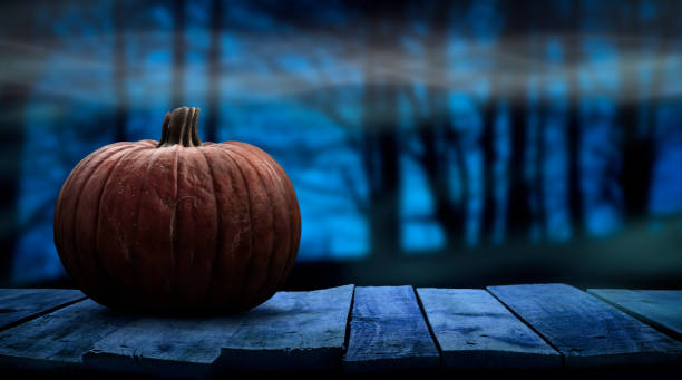 una espeluznante plantilla en blanco de calabaza halloween en un banco de madera con un fondo nocturno brumoso del bosque. - pumpkin fotografías e imágenes de stock