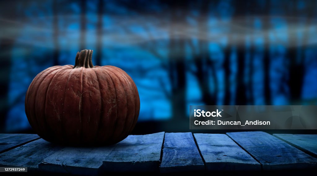 One spooky halloween pumpkin blank template on a wooden bench with a misty forest night background. One spooky halloween pumpkin blank template on a wooden bench with a misty forest night background with space for product placement. Halloween Stock Photo