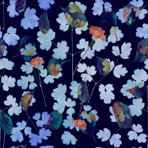 istock Seamless floral pattern with wild flowers on navy blue background 1272939091