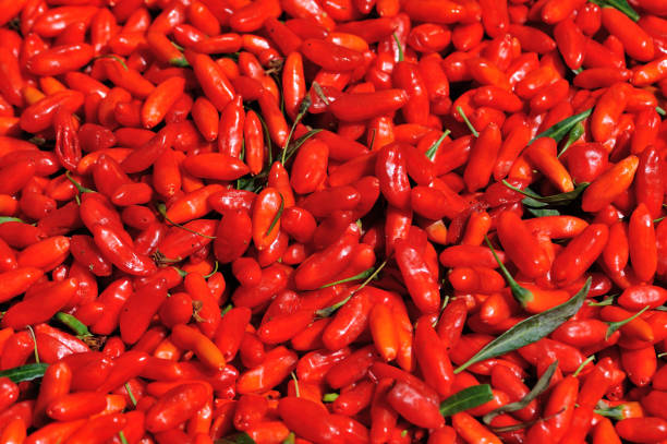 istock Fresh red goji berry fruits 1272940718