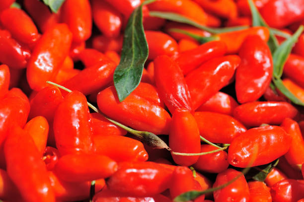 istock Fresh red goji berry fruits 1272942104