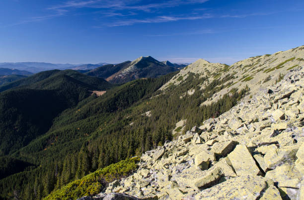 istock Mountains with stone-covered tops and pine-textured slopes 1272942110
