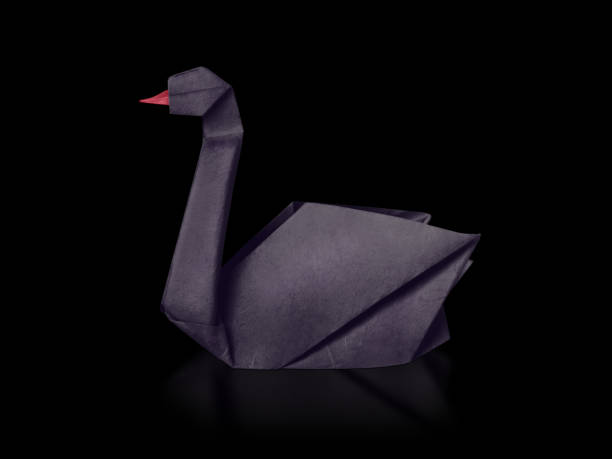 origami papier seltene veranstaltung schwarzen schwan auf einem schwarzen - black swan stock-fotos und bilder