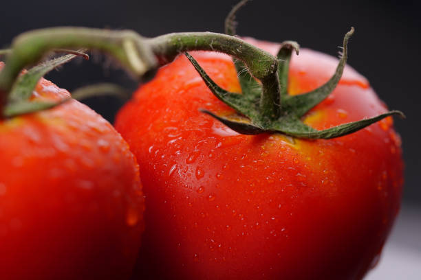 istock Close-up of red tomato with water drop 1272945438