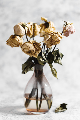 A bouquet of withered rose flowers in a glass vase