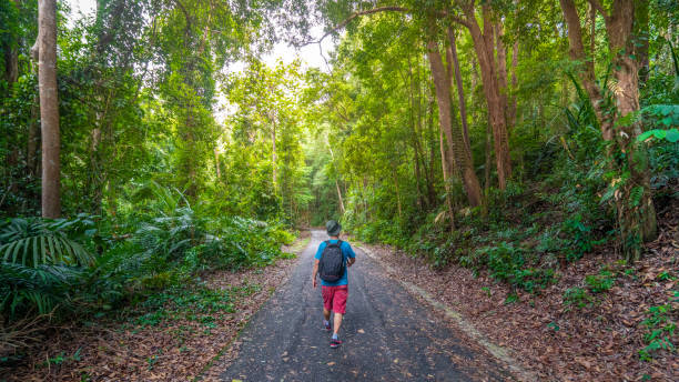 istock Man goes hiking in Malaysian jungle 1272947598