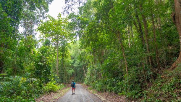 istock Man goes hiking in Malaysian jungle 1272947688
