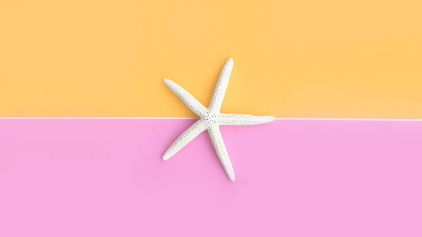 istock close up of starfish 1272950570