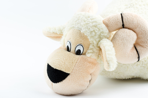 White lamb close-up on a white background. Kids toy