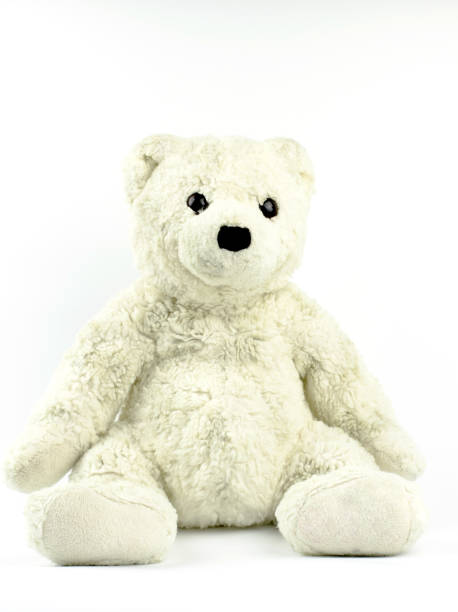 istock White and gray teddy bear on a white background 1272952054