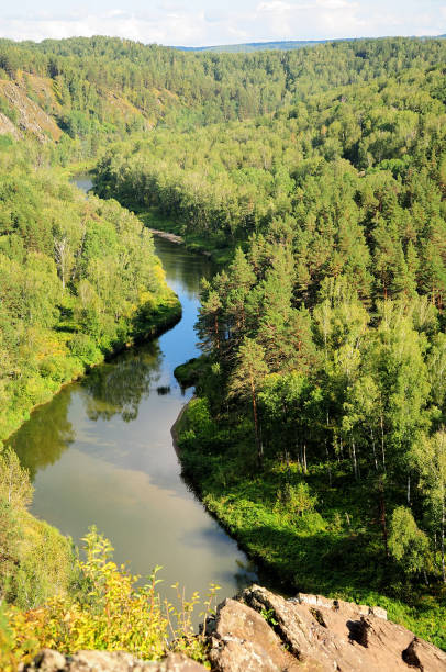 istock Top view of a winding calm river flowing through a dense coniferous forest. 1272952354