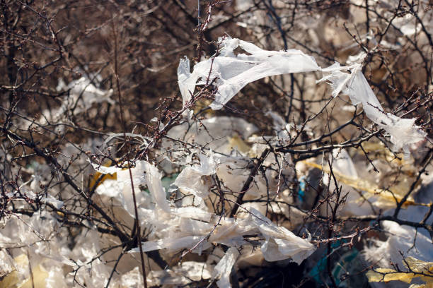 istock Closeup image of a garbage, plastic, bags and polyester spread and discarded in the dry grass in field, in day light. Concept about ecology. 1272952655