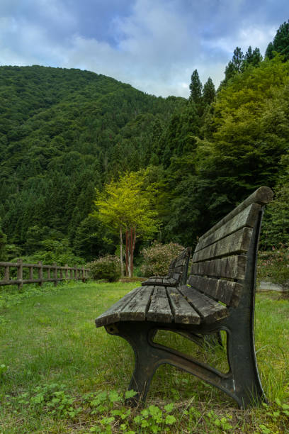 istock wooden seat in green park 1272953984