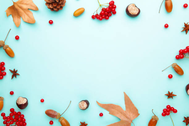 istock Autumn composition with copy space. Autumn leaves and corn, pine cone, anise star. Flat lay, top view, copy space 1272954100