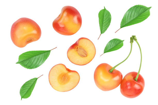 istock yellow-red sweet cherry isolated on white background with clipping path . Top view. Flat lay 1272955692