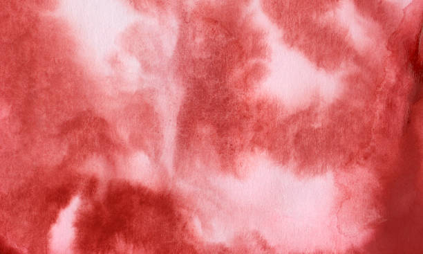 istock red magenta abstract watercolor grunge background. blur paint on white paper. 1272955801