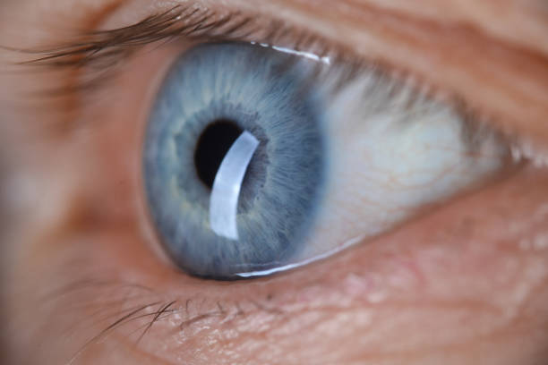 istock Male eye blu color super macro closeup shot. 1272956782