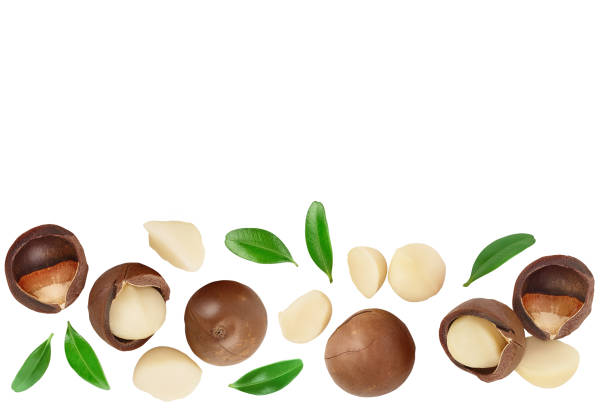 istock macadamia nuts isolated on white background. Top view with copy space for your text.. Flat lay. 1272956914