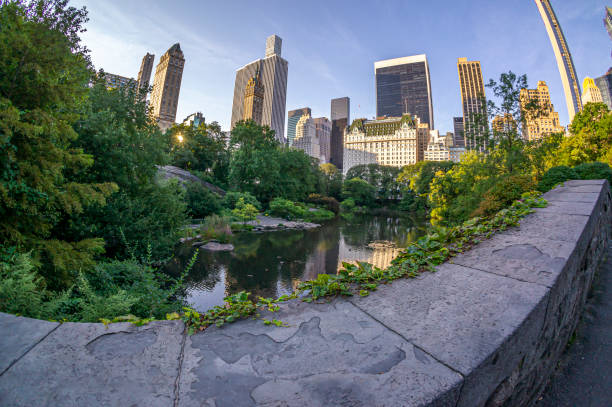 istock Gapstow Bridge in Central Park 1272960551
