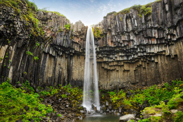 svartifoss waterval in ijsland - skaftafell national park stockfoto's en -beelden