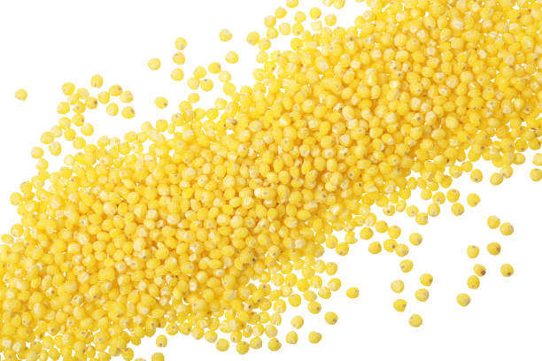 istock millet isolated on white background. Top view 1272960944