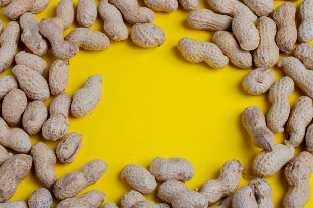 istock peanut frame on yellow background, flat lay food 1272961939