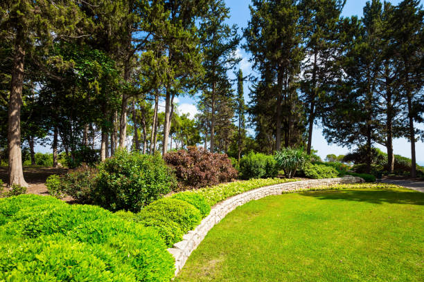 istock Large green grassy meadow 1272962095