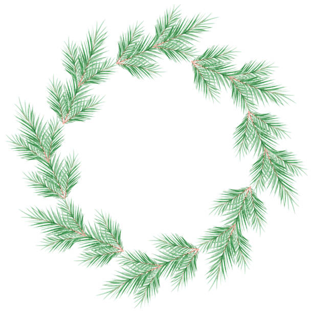 istock watercolor green fir tree branches wreath on white background 1272962767